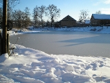 Rybník v zimě